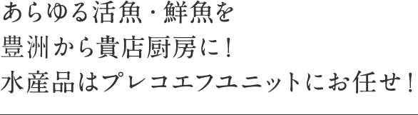 プレコエフユニット