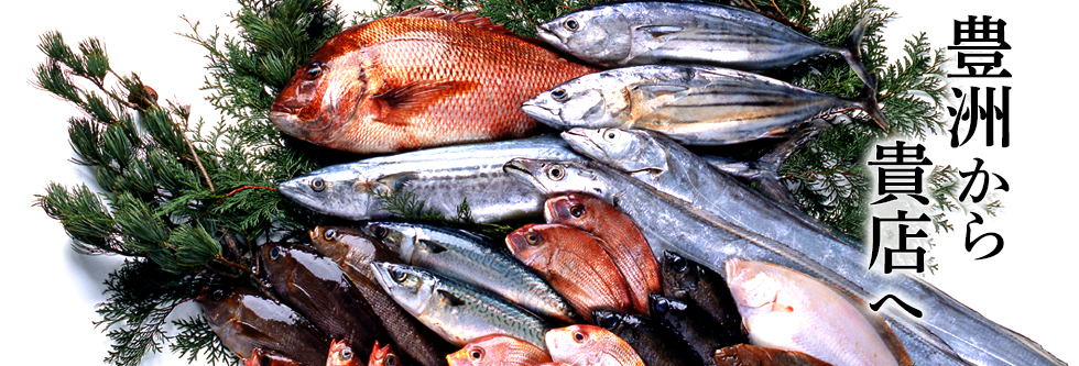 プレコエフユニット